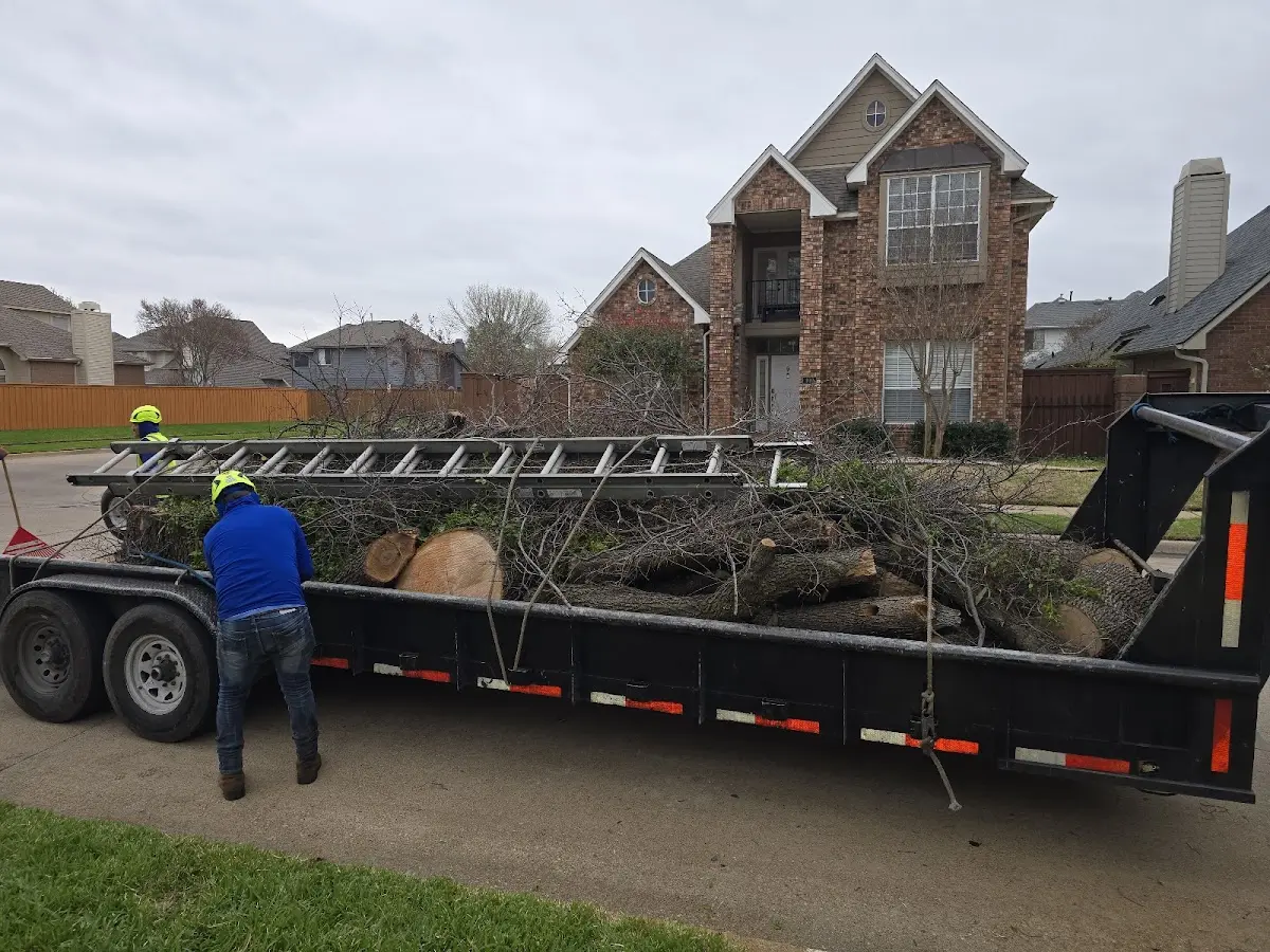 Expert Tree Pest Control with proper safety equipment in Farmville